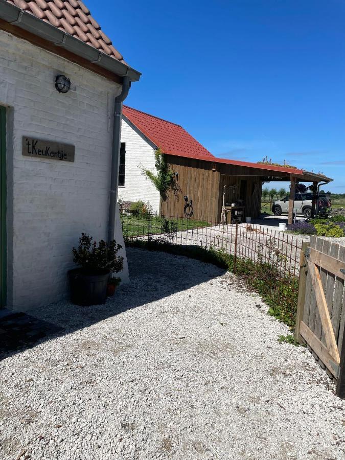 Bed and Breakfast De Wabisabiboerderij Oedelem Zewnętrze zdjęcie