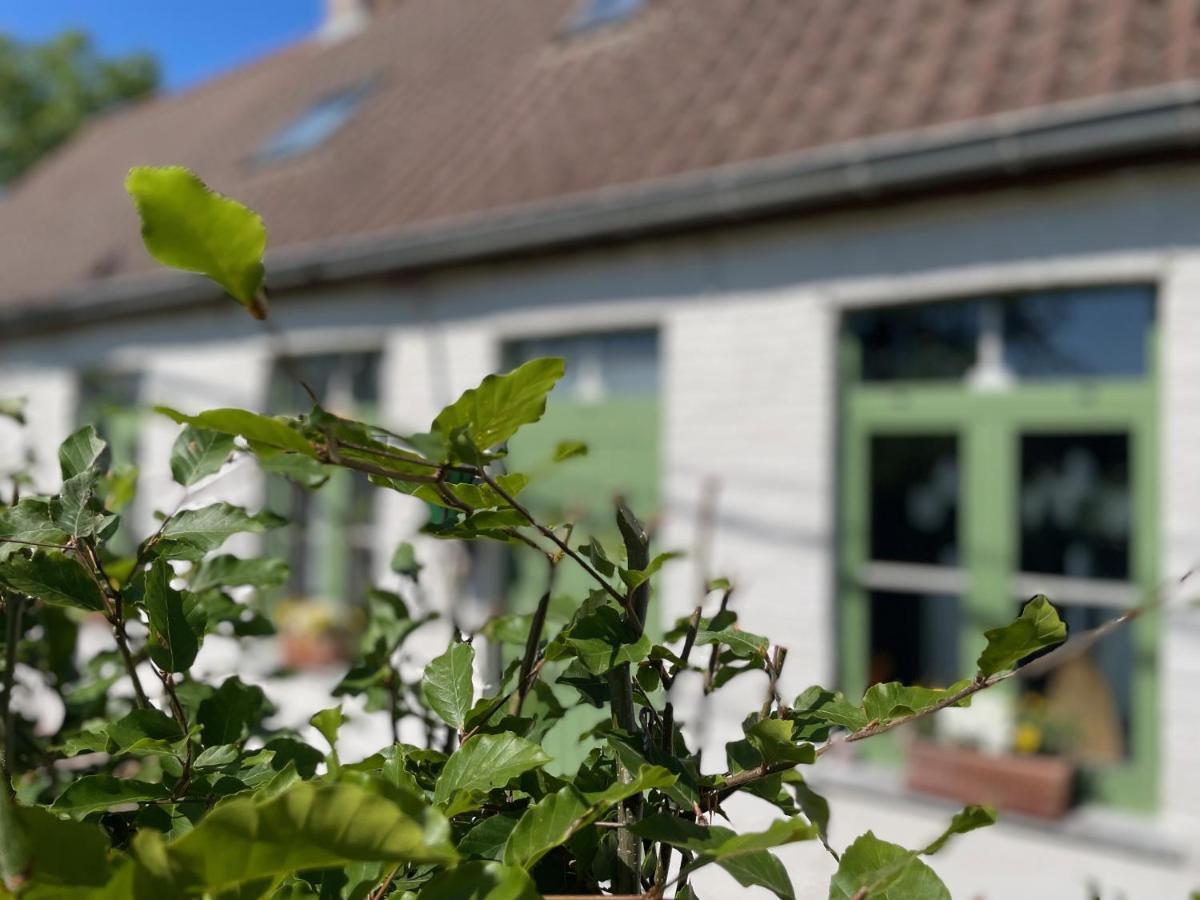 Bed and Breakfast De Wabisabiboerderij Oedelem Zewnętrze zdjęcie