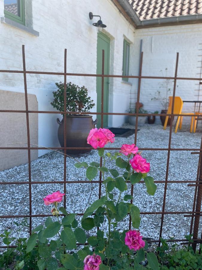 Bed and Breakfast De Wabisabiboerderij Oedelem Zewnętrze zdjęcie